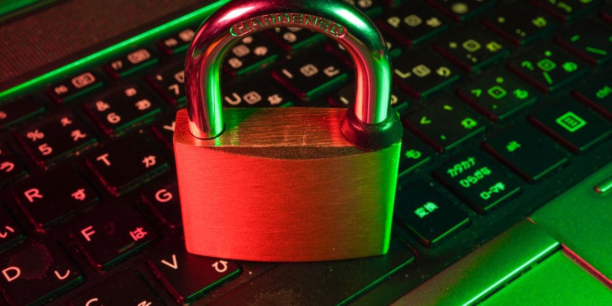 AI and Data Privacy: Where Does Everything You Type Actually Go?